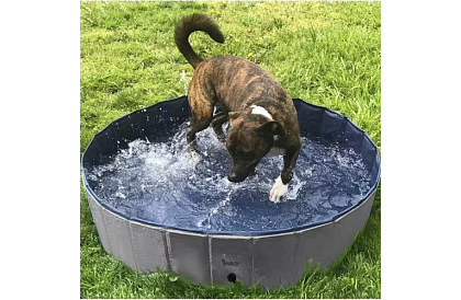 Összecsukható kutyamedence - 100 x 30 cm