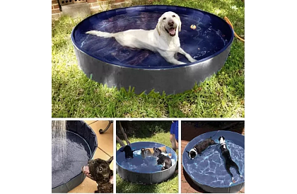 Összecsukható kutyamedence - 100 x 30 cm