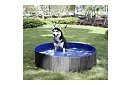Összecsukható kutyamedence - 100 x 30 cm