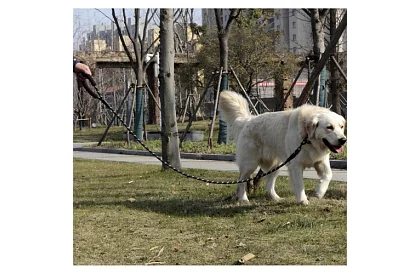 Erős kiképző póráz nagy kutyáknak - 5 m