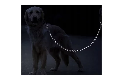 Erős kiképző póráz nagy kutyáknak - 5 m