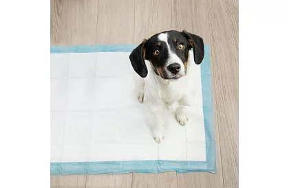 Absorpciós higiéniai betétek 100 db – 60x40 cm + ürülékzsákok