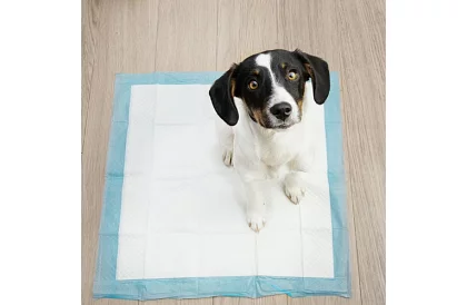 Abszorbeáló higiéniai betétek 100 db – 60x60 cm + ürülékzsákok