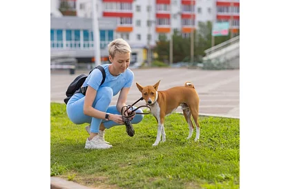 Abszorbeáló higiéniai betétek 100 db – 60x60 cm + ürülékzsákok