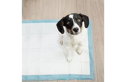 Absorpciós higiéniai betétek 50 db – 60x90 cm + ürülékzsákok