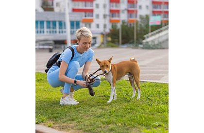Absorpciós higiéniai betétek 50 db – 60x90 cm + ürülékzsákok