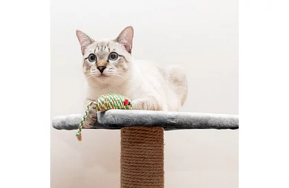 Szürke macska kaparó - 71 x 44 x 34 cm