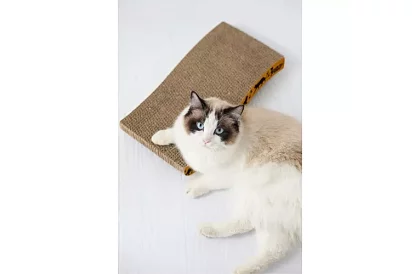 Mobil macska kaparó – 22,5 x 43 cm