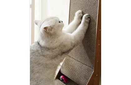 Macskakaparó a játékkal - DUO