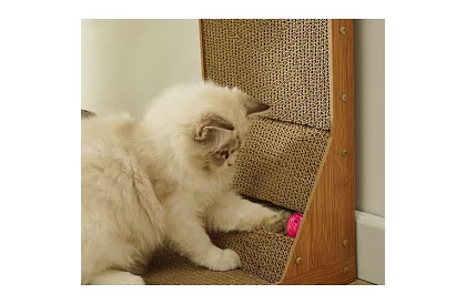 Macskakaparó a játékkal - DUO