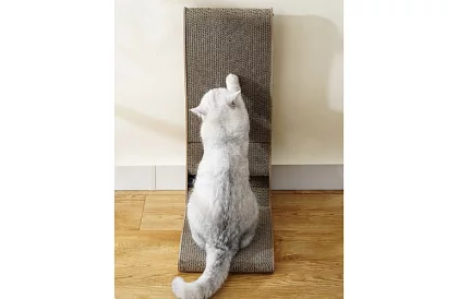 Macskakaparó a játékkal - DUO