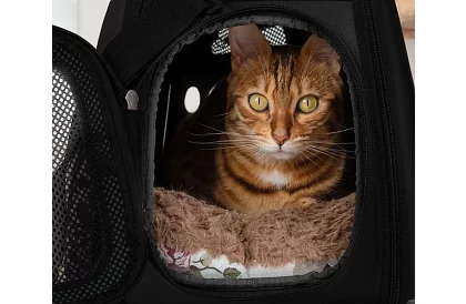 Szállítóbox - utazótáska állatoknak - fekete