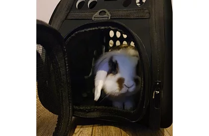 Szállítóbox - utazótáska állatoknak - fekete