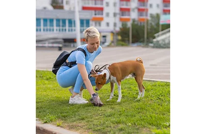 Zsákok ürülékhez – 1000 db + tok