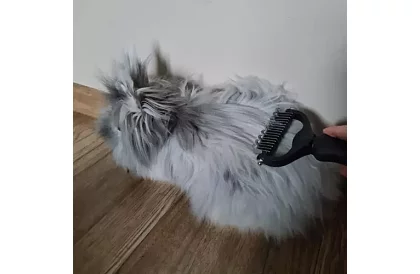 Fésű a szőr és aljszőrzet fésülésére