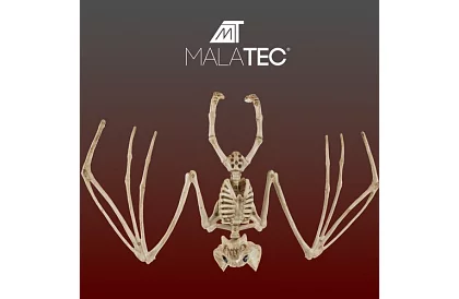 Kis denevér 30 cm - halloween dekoráció