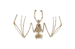 Kis denevér 30 cm - halloween dekoráció