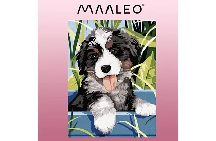 Számozott festés - kutya - 40x30 cm