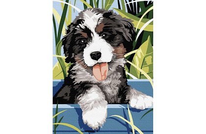 Számozott festés - kutya - 40x30 cm