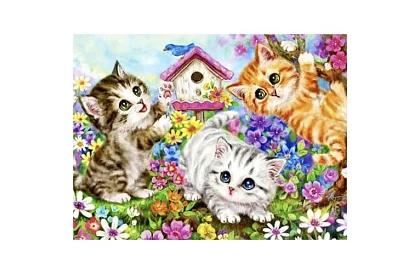 Festés számok szerint - macskák - 40x50 cm