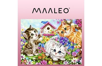 Festés számok szerint - macskák - 40x50 cm