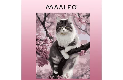 Festés számok szerint - macska - 40x50 cm