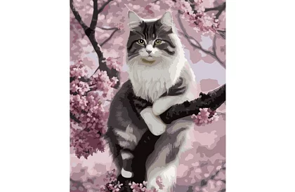 Festés számok szerint - macska - 40x50 cm