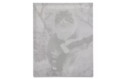 Festés számok szerint - macska - 40x50 cm