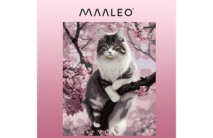 Festés számok szerint - macska - 40x50 cm