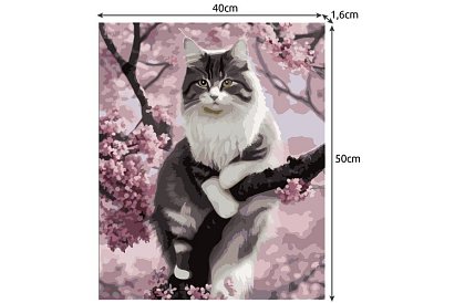 Festés számok szerint - macska - 40x50 cm
