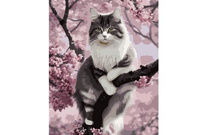 Festés számok szerint - macska - 40x50 cm