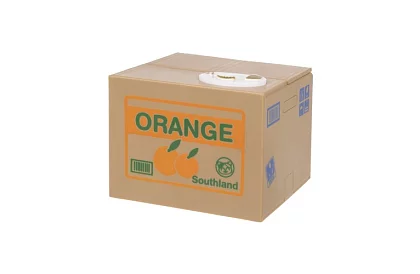 Automatikus pénztáros - kiscica érmepalánta