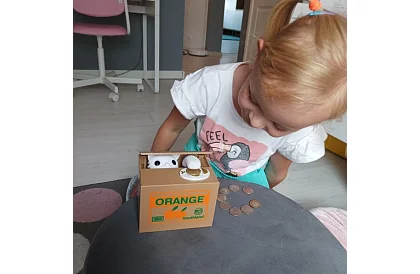 Automatikus pénztáros - kiscica érmepalánta