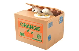 Automatikus pénztáros - kiscica érmepalánta