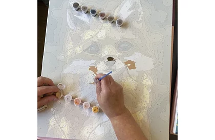 Festés számok szerint - róka - 40x50 cm