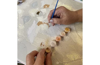 Festés számok szerint - róka - 40x50 cm