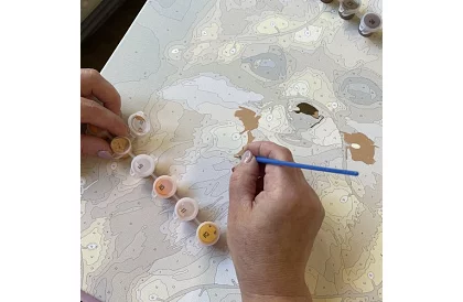 Festés számok szerint - róka - 40x50 cm