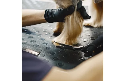 Kutyák ápoló és nyíró készlet tokban