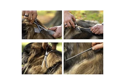 Kutyák ápoló és nyíró készlet tokban