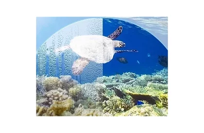 Szárazó teljes arcmaska - S/M méret