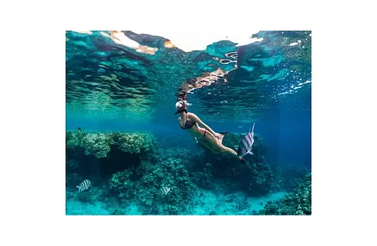 Szárazó teljes arcmaska - S/M méret