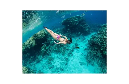 Szárazó teljes arcmaska - S/M méret