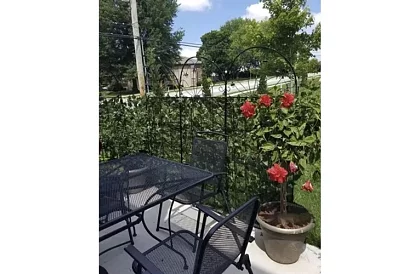 Mesterséges élő sövény 300 cm – Borostyán