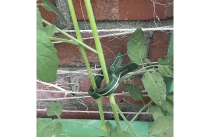 Növények rögzítésére szolgáló klipszek 108 db