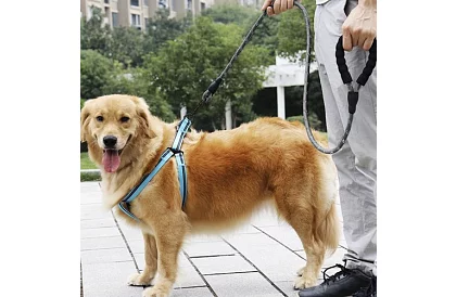 Kutyához való póráz erős, fényvisszaverő elemekkel – 3 m