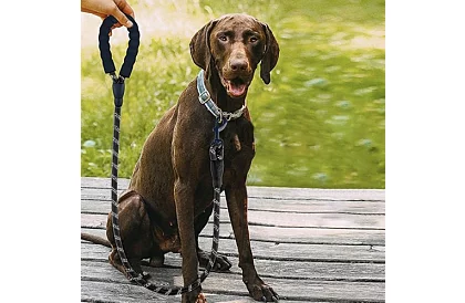 Kutyához való póráz erős, fényvisszaverő elemekkel – 3 m