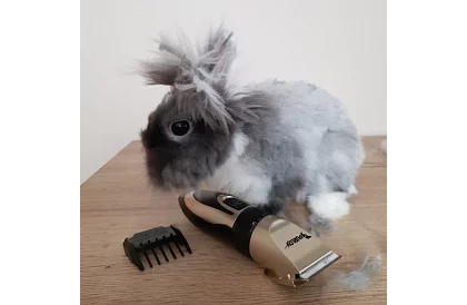 Háziállat nyíró + tartozékok