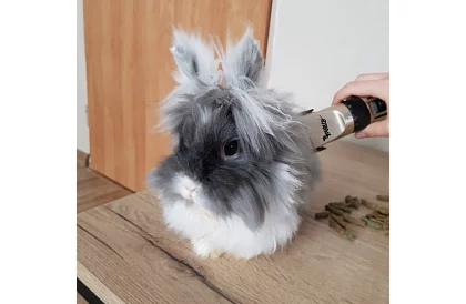 Háziállat nyíró + tartozékok