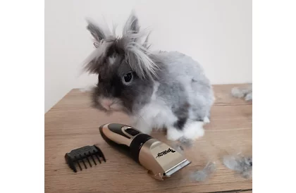 Háziállat nyíró + tartozékok