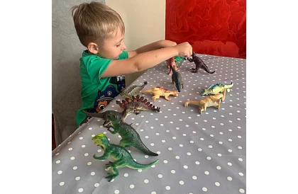 Állatgyűjtemény 12 dinoszaurusz